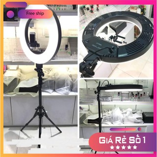 [Loại 1 Tốt Nhất] Trọn bộ đèn livestream size 33cm Cao 2m