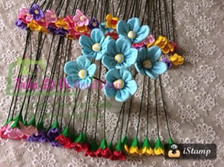 SỈ HOA DÂU TÂY