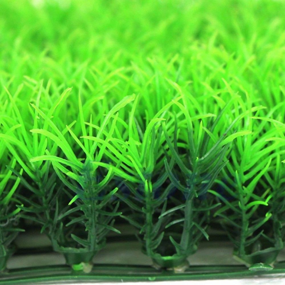 thảm cỏ nhân tạo trang trí bể cá