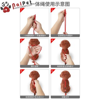 Dây Dắt Show Thú Cưng DDVC007