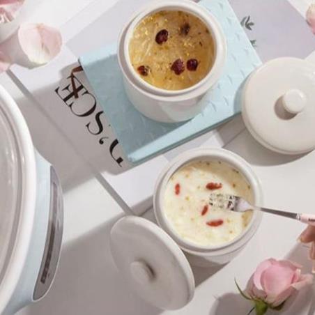 Nồi Nấu Cháo Chậm Cho Bé Bear 2,5L SU003_Bản Quốc Tế, Hầm Hấp Ninh Rau Củ Quả Chưng Yến Đa Năng, Bảo Hành 18 Tháng