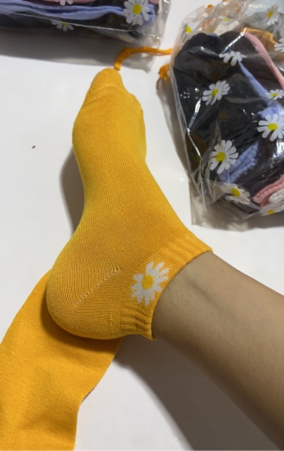 Sỉ 10 đôi tất hoa cúc 5 màu kèm túi cực xinh