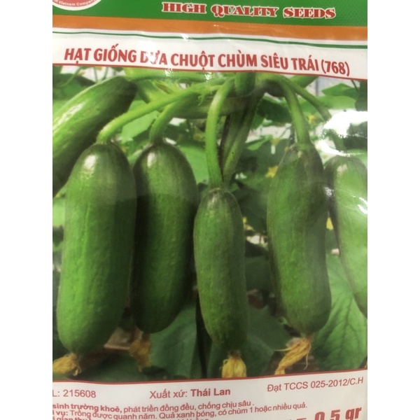 Hạt giống Dưa chuột chùm Baby ☘️