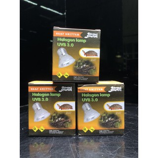 Đèn uva + uvb 3.0 của ht- exotic zone