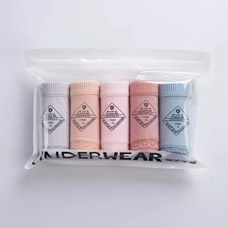 SET 5 Quần chip túi zíp xuất Nhật