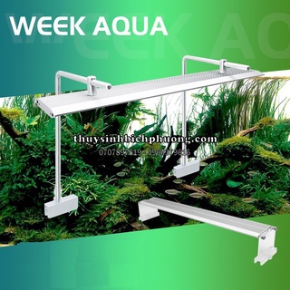 ĐÈN LED THUỶ SINH WEEK V RAPTOR WRGB V450 V600 V900 V1200 | ÁNH SÁNG CHUYÊN DỤNG CHO HỒ CÂY THUỶ SINH