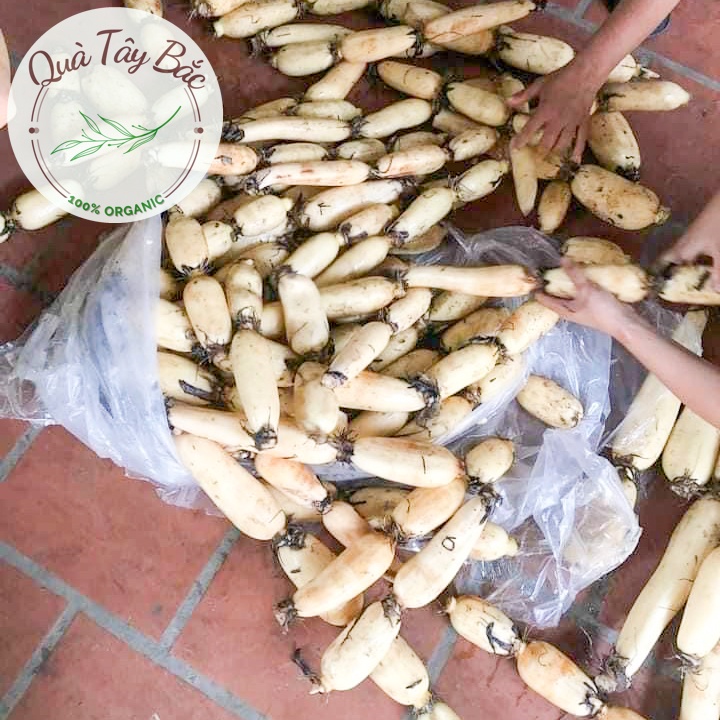 Bột Củ Sen mix Hạt Dinh Dưỡng Dưỡng Nhan Giảm cân Đẹp da