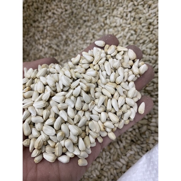 [HCM] Hạt cây, hạt hướng dương, hạt ngũ cốc cho thú cưng.