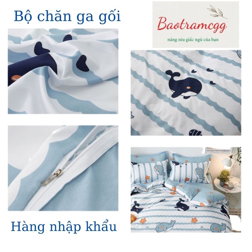 [Xả Kho]Bộ Chăn Ga Gối Cotton Poly Nhập Khẩu mẫu mới nhất | BigBuy360 - bigbuy360.vn