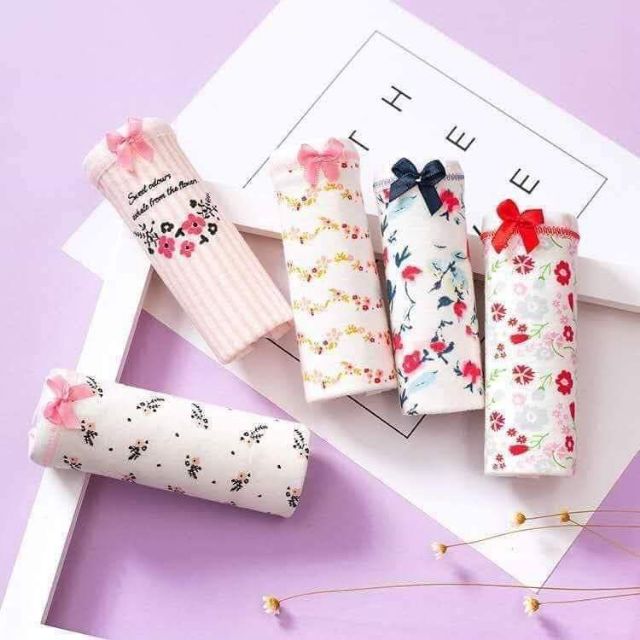 Set 5 quần chip bé gái mới lớn