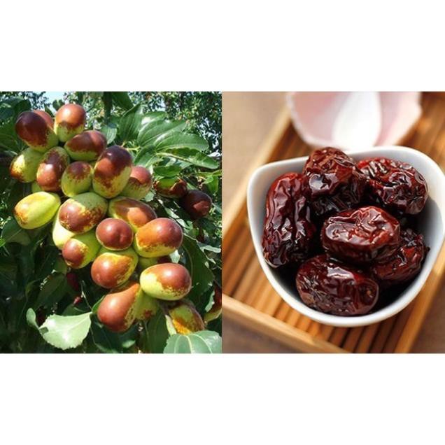 TÁO ĐỎ SẤY KHÔ HÀN QUỐC BOEUN LOESS JUJUBE 1kg DATE 2025 | BigBuy360 - bigbuy360.vn