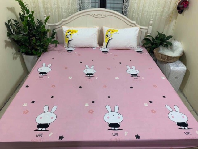 Ga chống thấm cotton Violet nhiều mẫu M6,M8