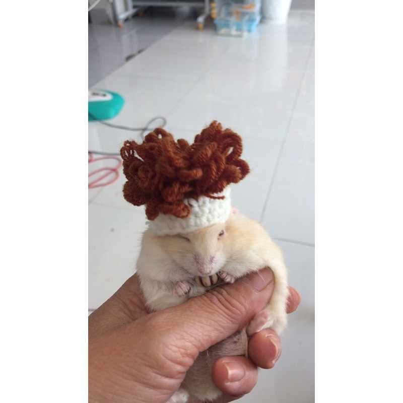 Nón len cho thú nhỏ hamster, sóc, bọ - tóc xù