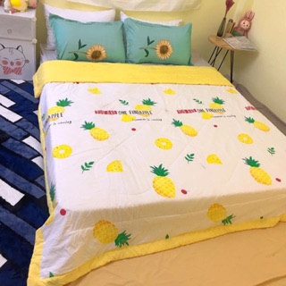[GIÁ RẺ]Chăn Cotton đũi hè