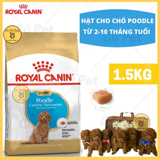 Hạt canin poodle puppy 500g