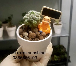 Bảng Đen Trang Trí