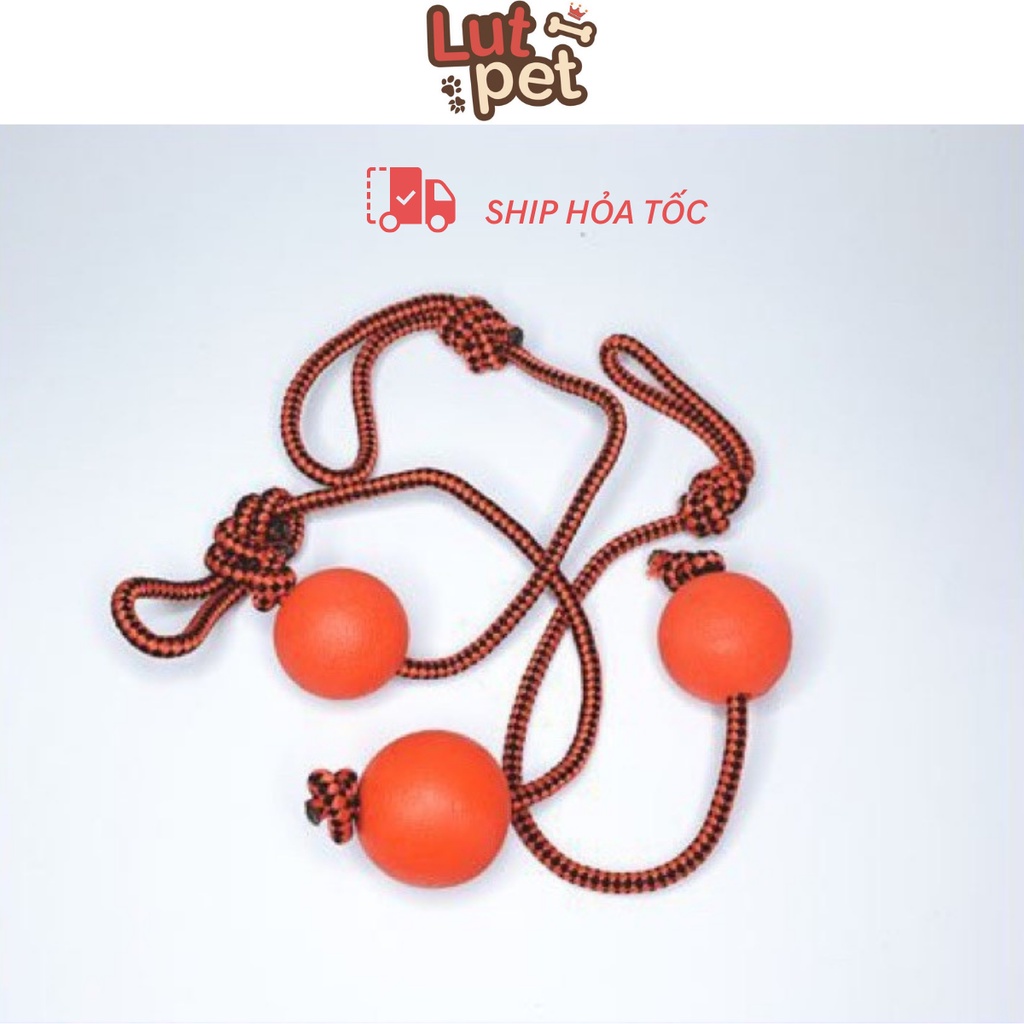 Bóng đồ chơi cho chó mèo - banh cao su có dây huấn luyên chó mèo - lutpet