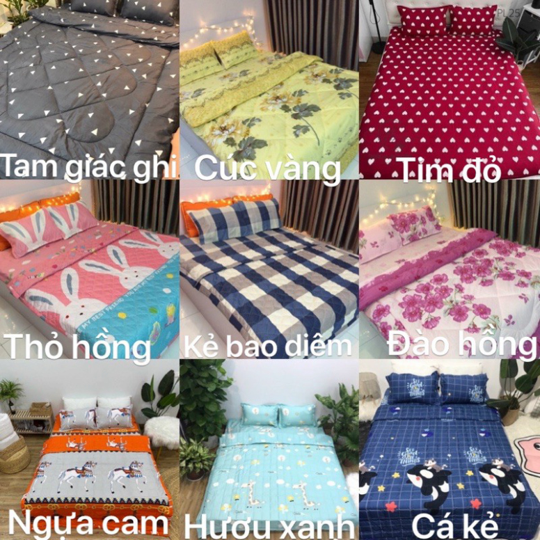 Bộ 1 Ga chun và 2 vỏ gối Cotton poly, chat chọn mẫu. | BigBuy360 - bigbuy360.vn