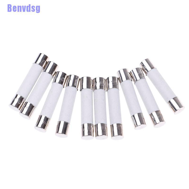 Bộ 10 Cầu Chì Sứ 20A 250V 6X30Mm Cho Lò Vi Sóng