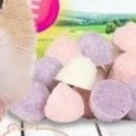 Bánh trái cây tốt cho tiêu hoá dùng cho Hamster- DH03- Dr Bunny