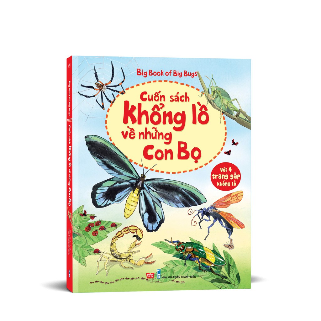 Sách - Big book - Cuốn sách khổng lồ về những con bọ