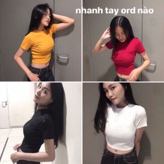 Áo thun trơn croptop