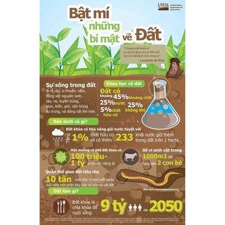 Phân Trùn Quế nguyên chất 2kg