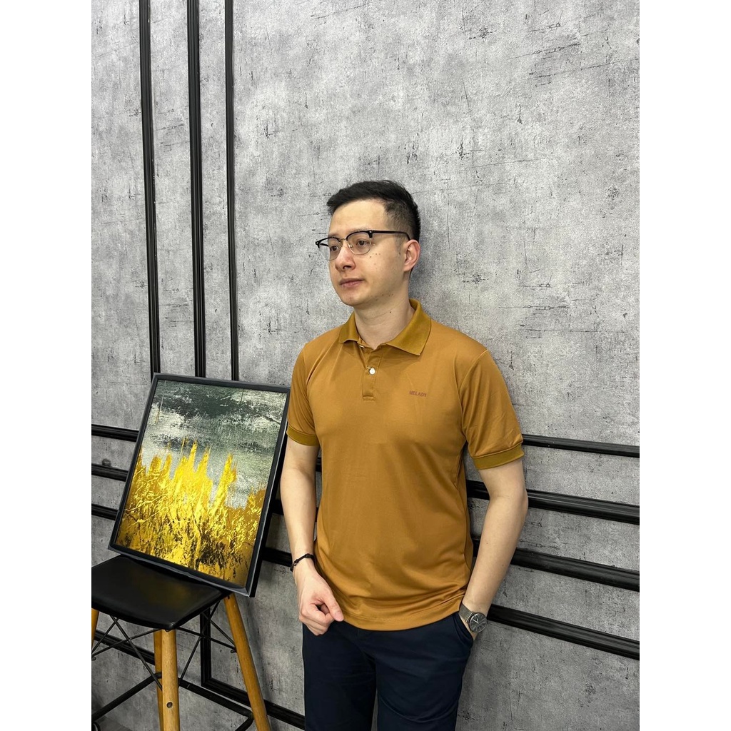 Áo thể thao polo nam cổ bẻ chất cotton cá sấu cao cấp mềm mát Melady chính hãng-HANA23