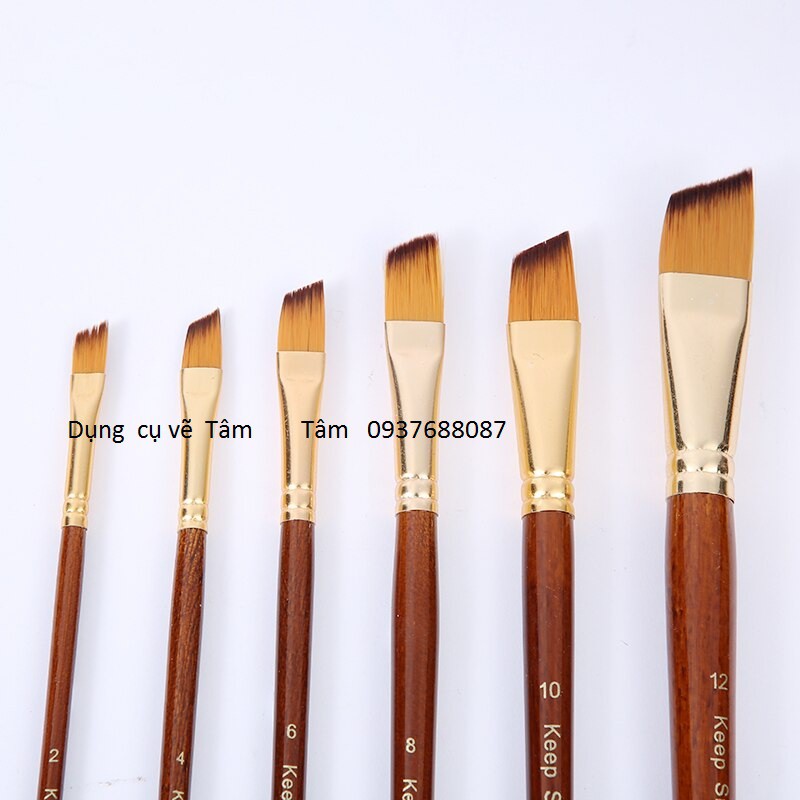 [ TÂM TÂM ]-Bộ cọ đầu vát Keep Smiling 6 cây mã 6120X-
