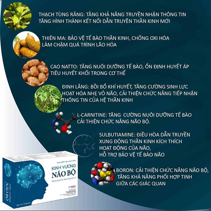 Kinh Vương Não Bộ - Giúp Hoạt Huyết Thông Mạch Tăng Cường Tuần Hoàn Não Hộp 30 Viên