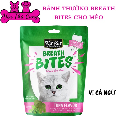 Bánh thưởng Kitcat Breath Bites cho mèo-YÊU THÚ CƯNG