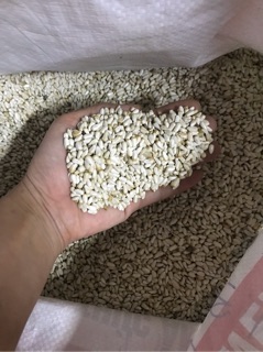 HẠT KHAM TRẮNG KL 1KG