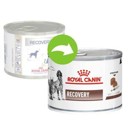 Pate Recovery Royal Canin phục hồi sức khỏe và bổ sung dinh dưỡng cho chó mèo