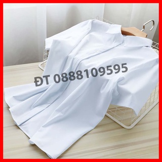 Áo sơ mi trắng tay ngắn