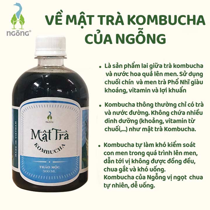 Mật Trà Kombucha Thảo Mộc Lên Men Từ Chuối Chín Và Men Trà Phổ Nhĩ Trên 20 Năm 5L