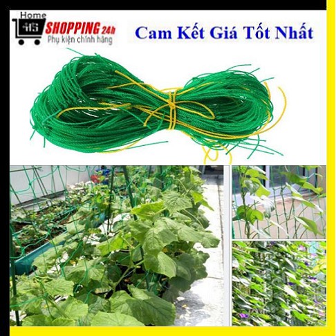 Lưới trồng cây - Lưới làm giàn dây leo