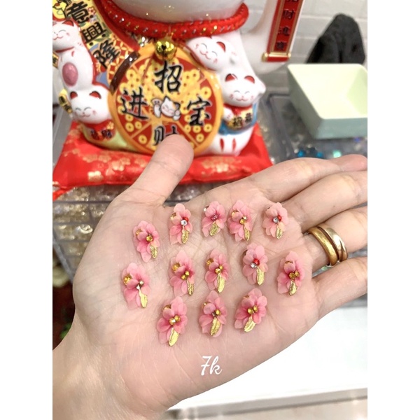 hoa bột đẹp