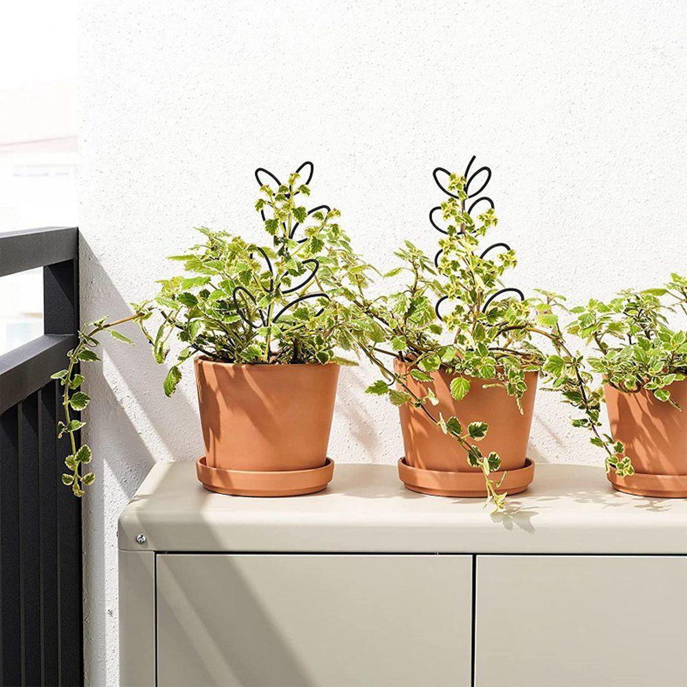 JARRED Giá Đỡ Cột Trồng Cây Dây Leo Chống Rỉ Sét Đa Năng