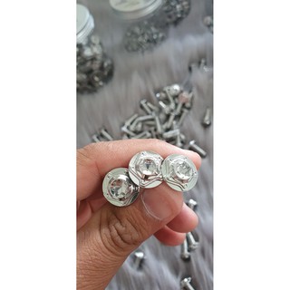 ốc đĩa salaya mẫu mới