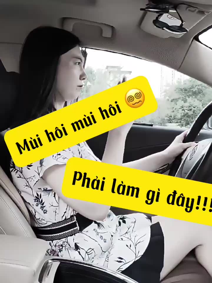 Chai Xịt Khử Mùi Ô Tô, Nhà Cửa Làm Sạch Không Khí, Diệt Khuẩn, Chống Nấm Mốc Nam Kinh Shop 4 Loại Mùi Hương 180ml | BigBuy360 - bigbuy360.vn