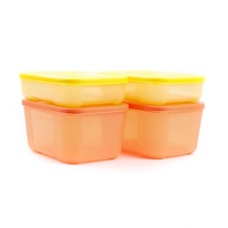 Hộp tupperware freezermate rainbow 700ml + 300ml. bộ hộp trữ đông tupperware trung chính hãng
