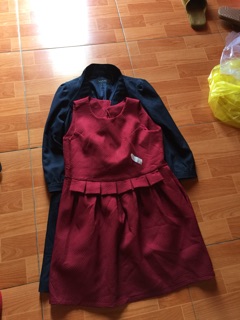Áo phao lông vũ