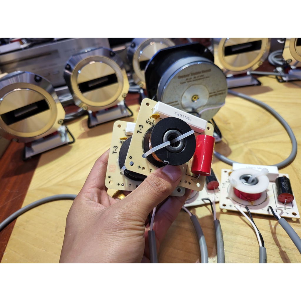 Mạch phân tần loa trép T3 và T5, Hàn sẵn dây, Giá 1 Đôi