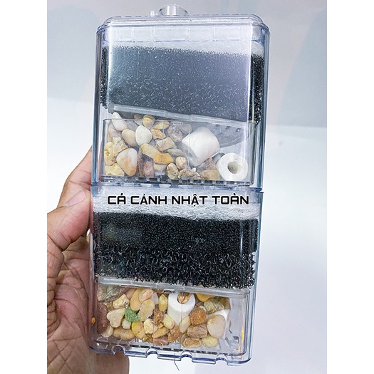 LỌC OXY VI SINH CHO BỂ CÁ CẢNH XINYOU 2010