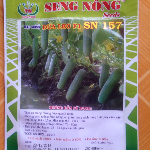 Hạt giống dưa leo Seng nông