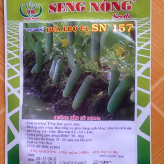 Hạt giống dưa leo Seng nông