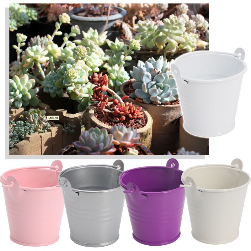 Chậu Trồng Cây Mini Bằng Kim Loại Trang Trí Nhà Cửa / Văn Phòng
