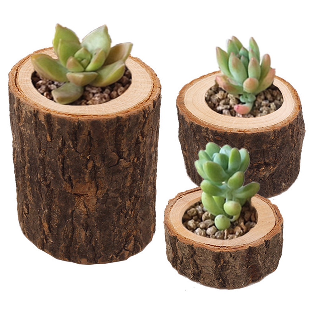 Chậu cây cảnh bằng gỗ để bàn trang trí