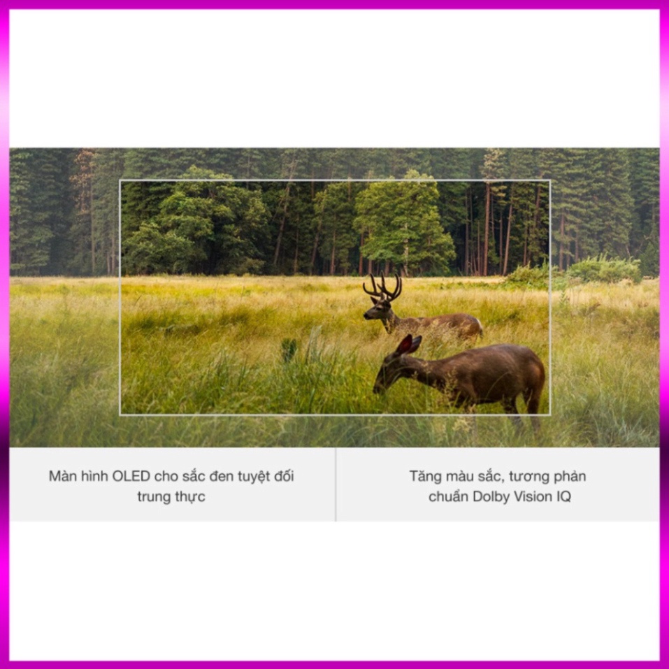 SP__Gia_Re __zil__ (mới) Tivi OLED LG 4K 65 inch 65C1PTB _Giao nhanh , lắp đặt miễn phí đầy đủ toàn quốc chất lượng hàng