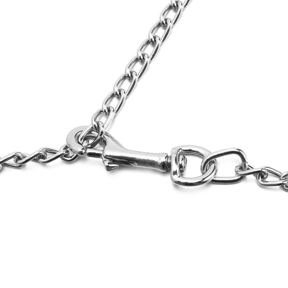 Dây Dắt Thú Cưng Đi Dạo Thời Trang LAYOR1